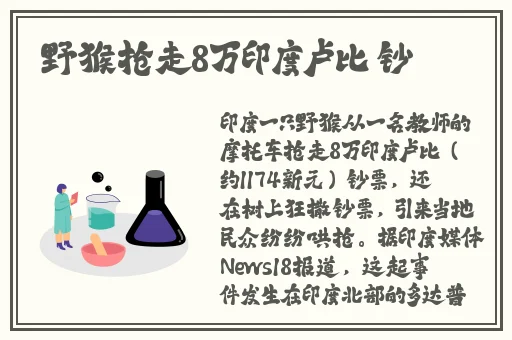 Ggy钙同2023钙片