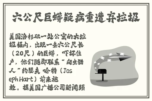 九阴真经掌法武学