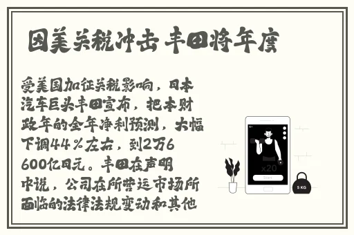 国内精品久久久久久精品电影